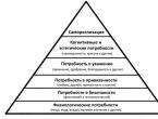 Что такое пирамида потребностей абрахама маслоу